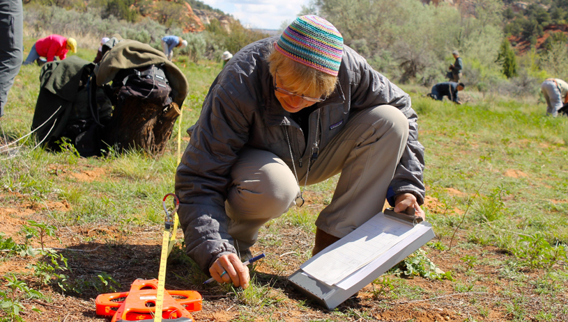A citizen scientist helps perform a transect.