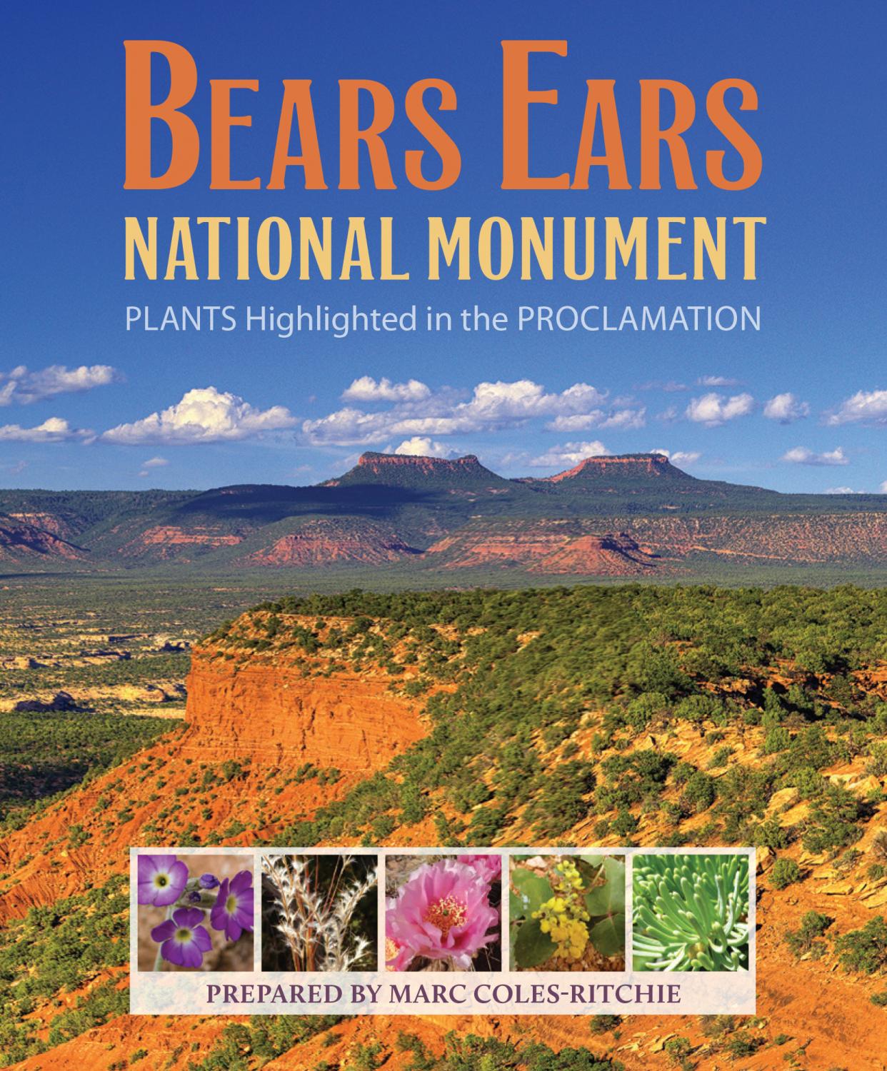 Bears Ears Plant Book