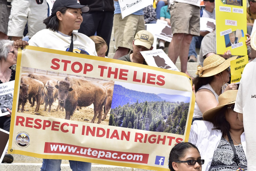 Stop the Lies sign. Photo by Tim Peterson.