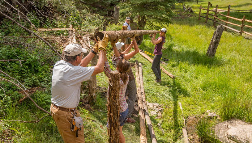 Volunteers build a fence around a spring.