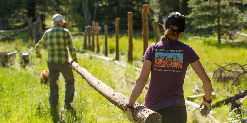 Volunteers build a wooden fence