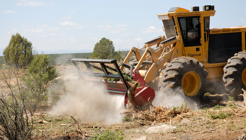 A "bullhog" grinds pinyon-juniper trees into mulch at the West Coal Creek area northeast of Price. UDWR