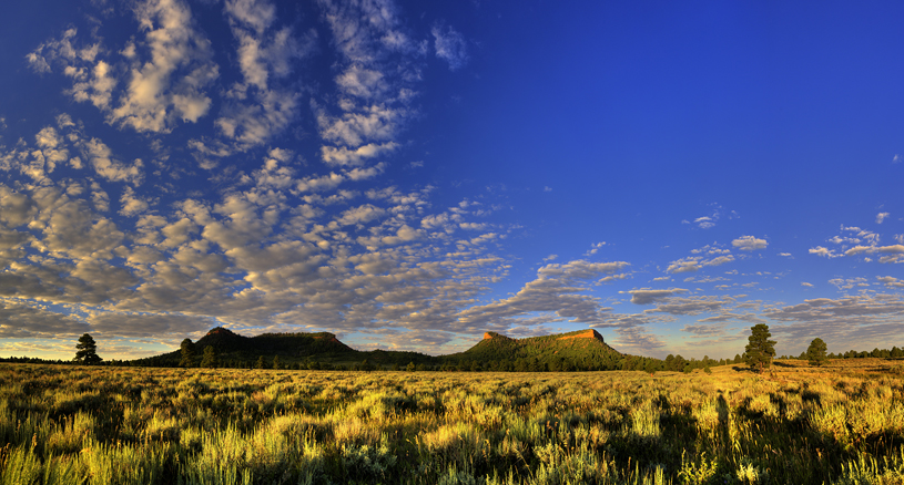 Bears Ears Buttes at Sunrise by Tim Peterson