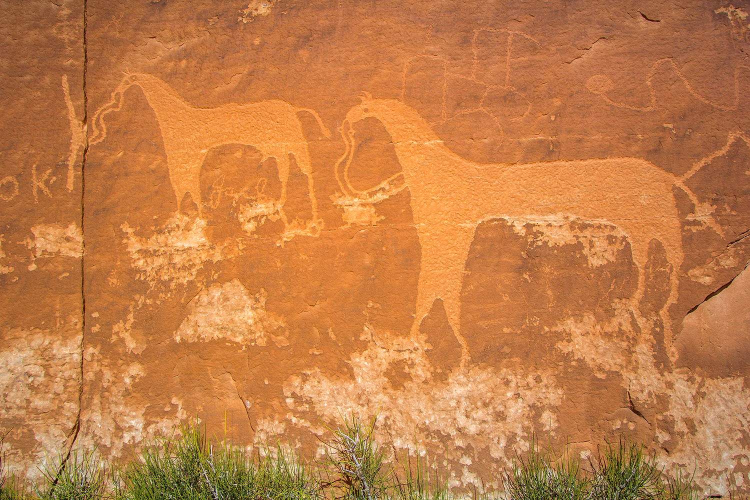 Horses petroglyphs
