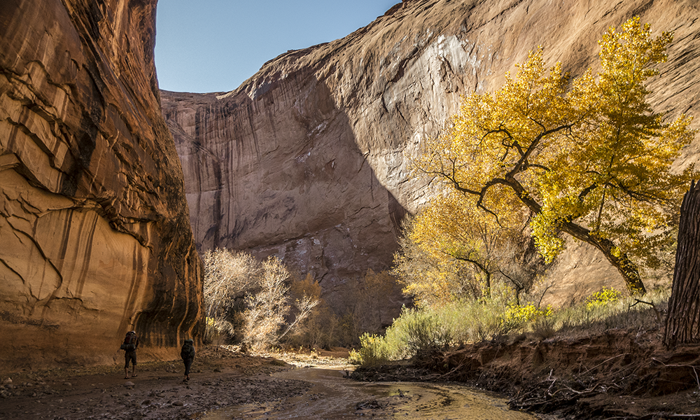 Coyote Gulch