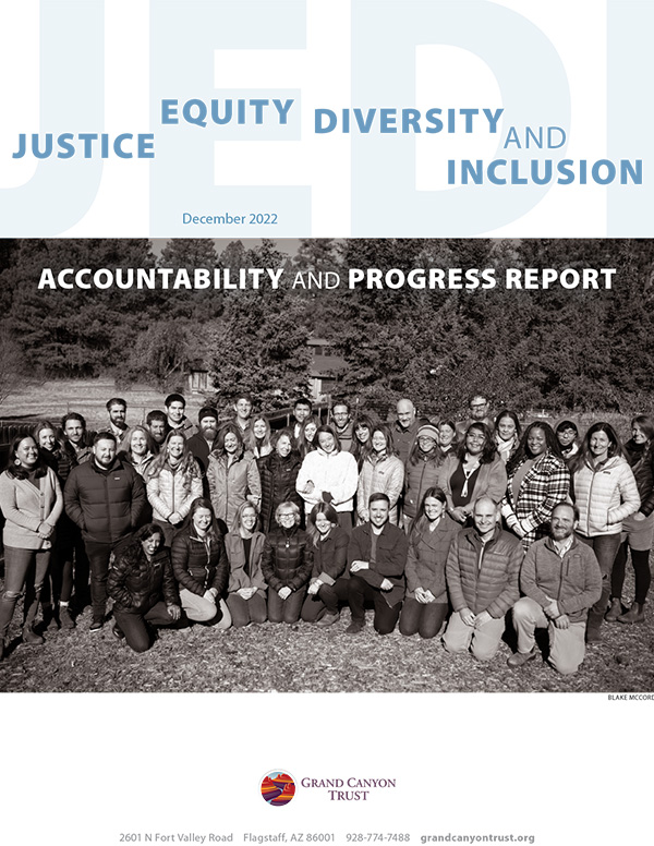 Download our JEDI accountability report today