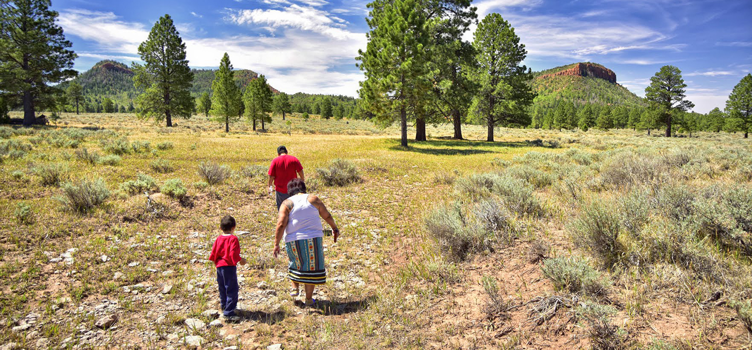 Bears Ears Gathering