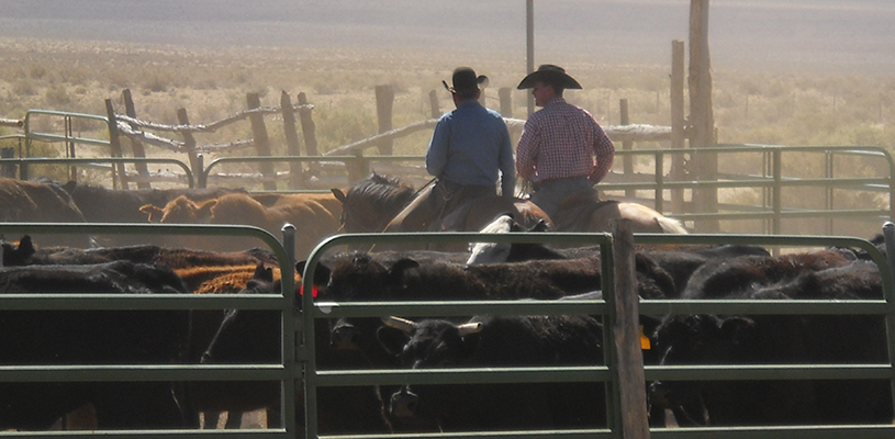 Jones Family on horseback