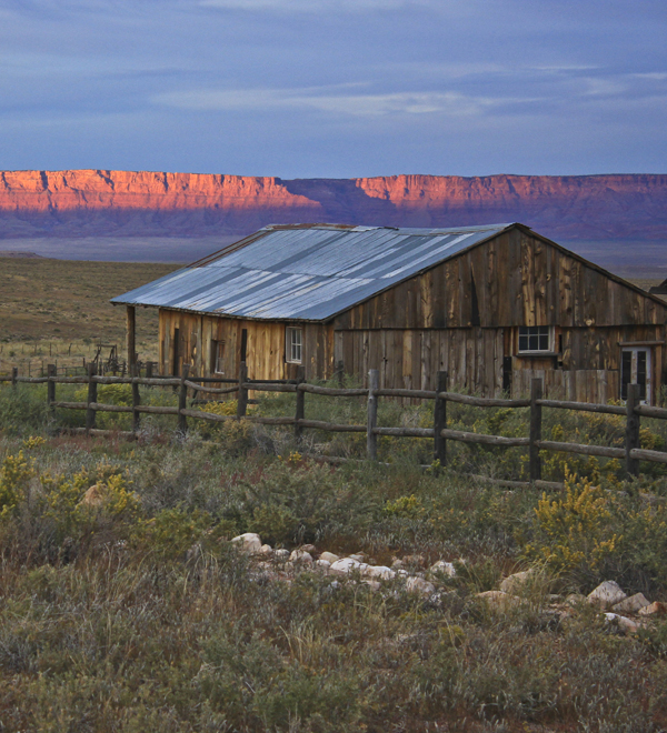 Science - Reconnecting Wildlife Habitat