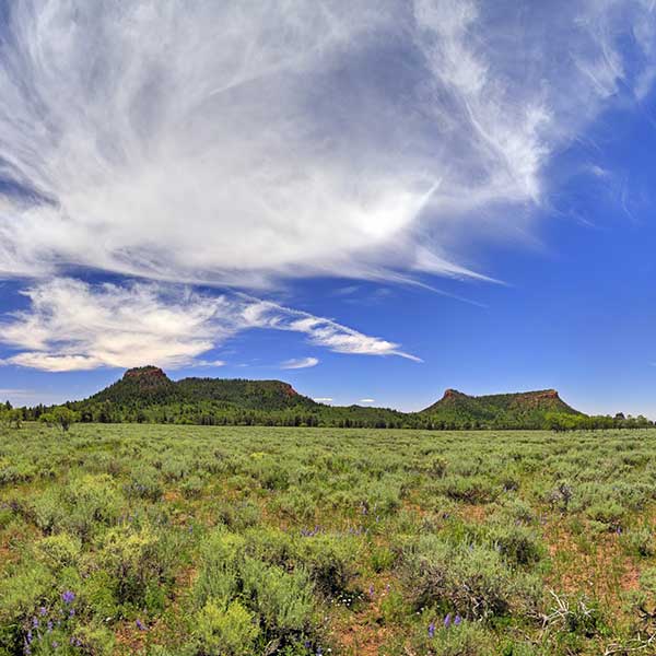 NM - Bears Ears