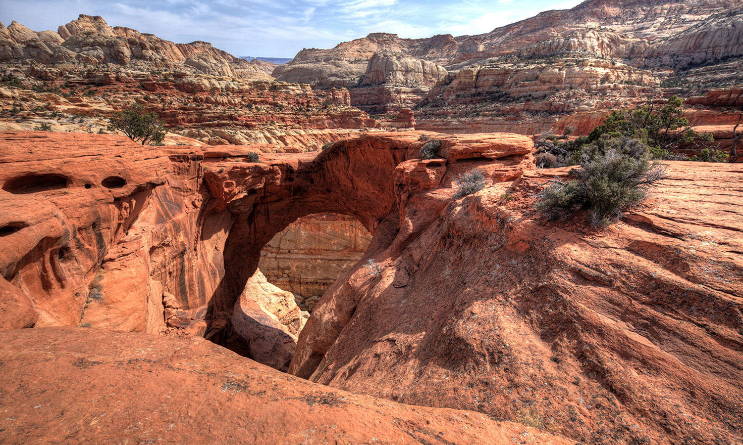 Blog - CPE Cassidy Arch Photo