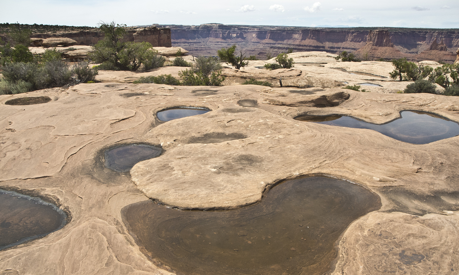 Blog - Big Horn Overlook photo