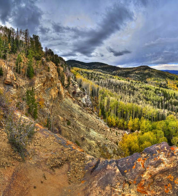 Grazing - Dixie, Fishlake, Manti-La Sal