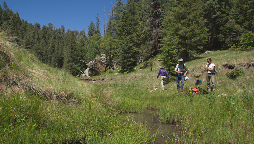 2018 aquatic habitat survey