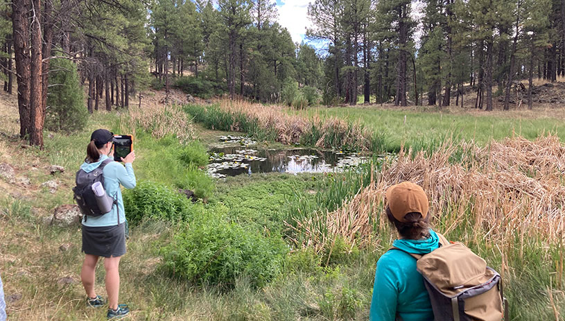 Volunteers survey a spring