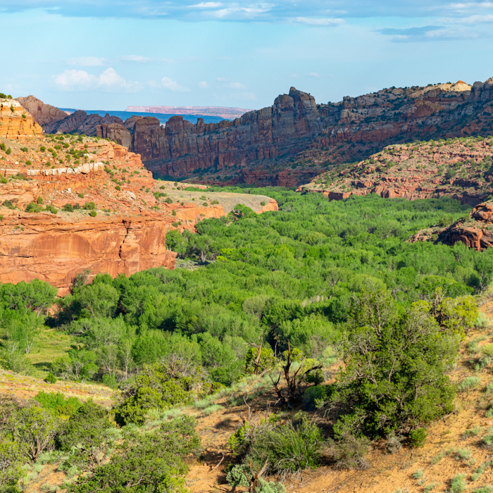 Escalante River