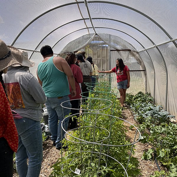 Students listen to a Native farmer at the Hopi Tutskwa Permaculture Institute.