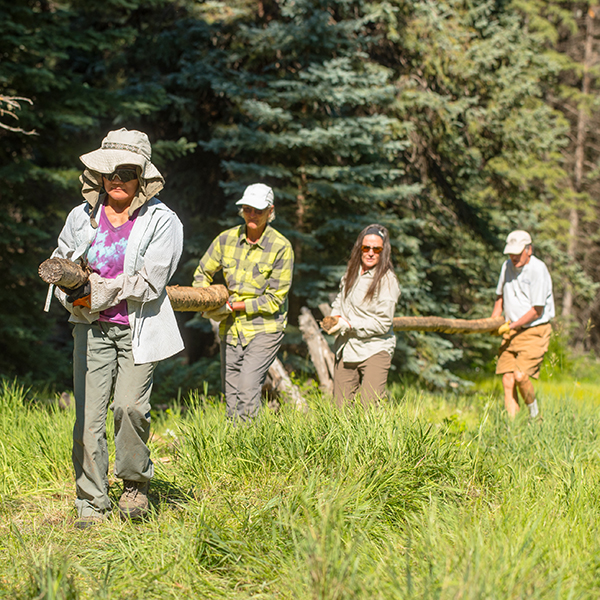 Spring restoration on Kaibab Plateau