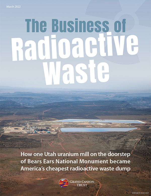 The Business of Radioactive Waste