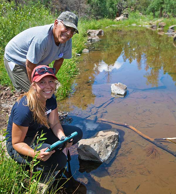 Springs - surveys