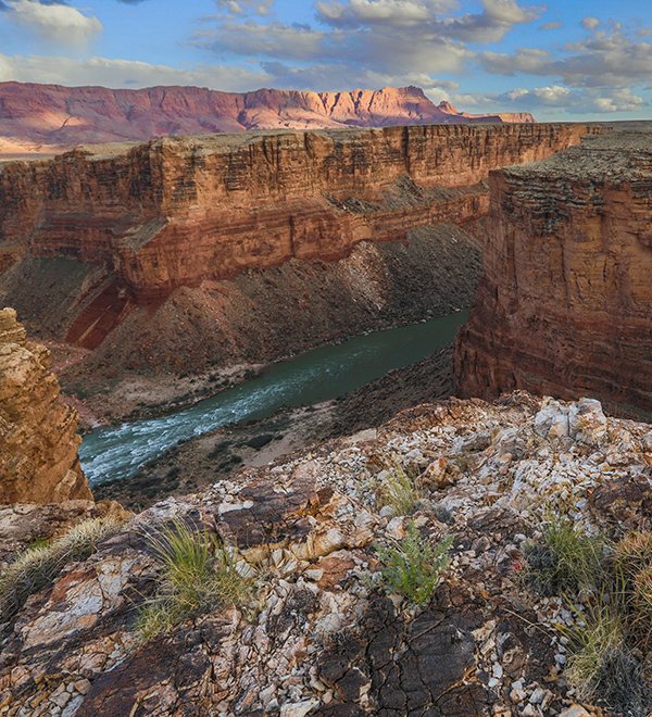 Take Action - Baaj Nwaavjo Itah Kukveni Grand Canyon National Monument Post-Designation thank you