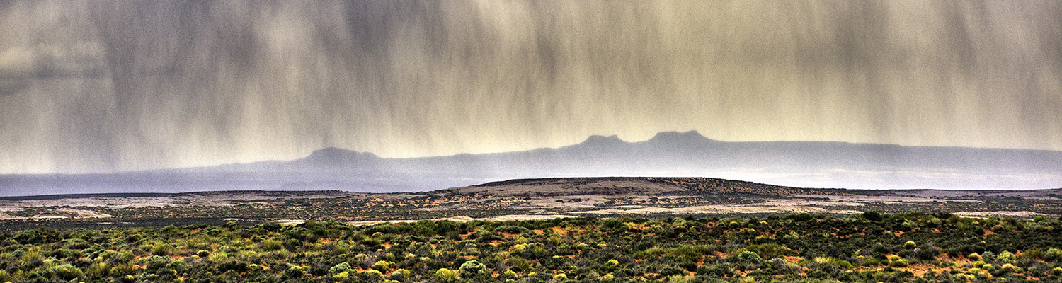 Bears Ears - header