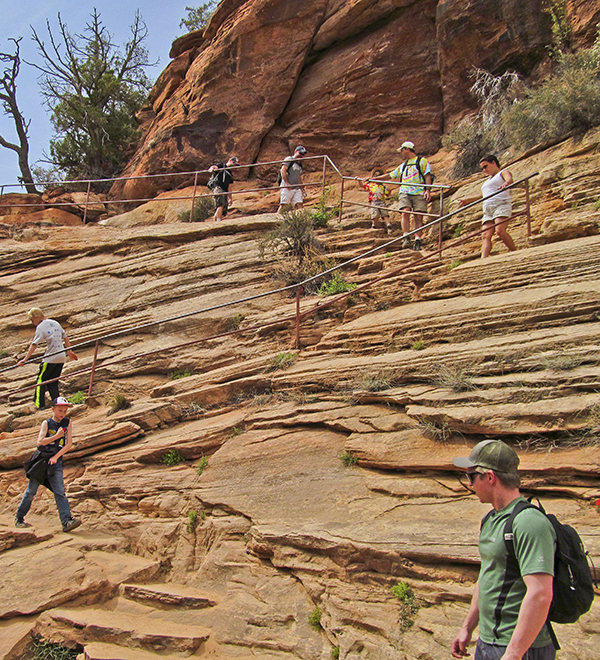 Zion - park info