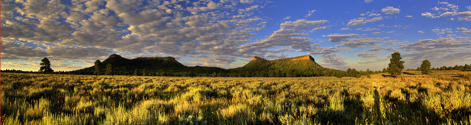 Advocate Fall/Winter 2016 - Proposed Bears Ears National Monument (Header)