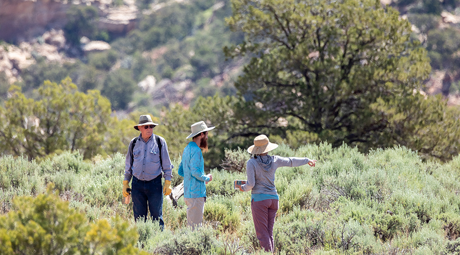 Pinyon and juniper forest field trip