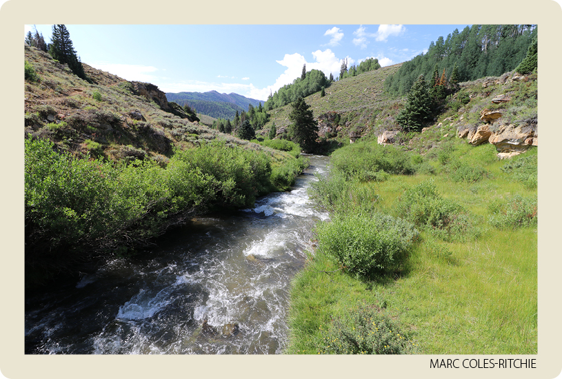 South Fork of Huntington Creek. Photo by Marc Coles-Ritchie