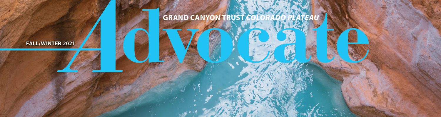 Advocate Fall/Winter 2021 Issue - Banner