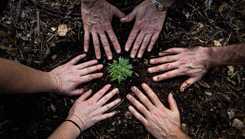 Hands connect to the soil