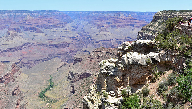 Lush vegetation flourishes at Havasupai Gardens