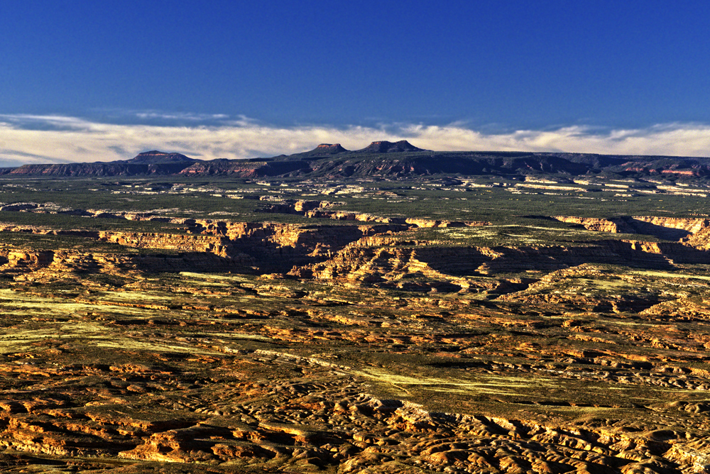 Cedar Mesa and Bears Ears. Photo by Tim Peterson