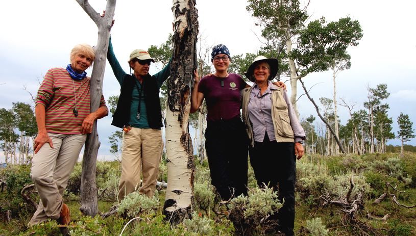 Volunteers Vera Markgraf, Gisela Kluwin, Lindsay Trudeau and Mimi Trudeau, after completing the last of three years of painstaking aspen understory transects.