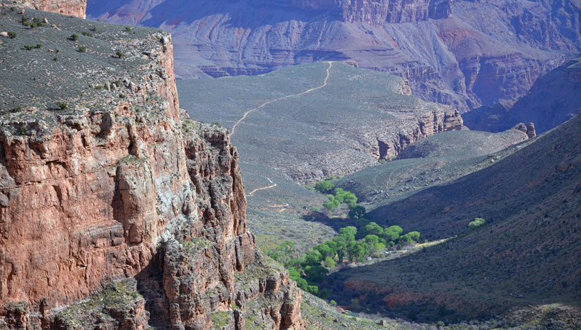 Indian Garden, Grand Canyon National Park. MICHAEL QUINN, NPS