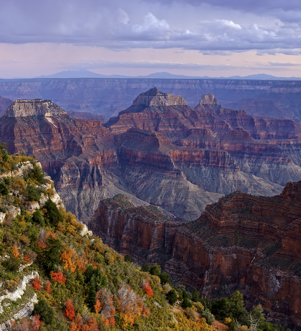 Advocate Spring/Summer 2019 - Grand Canyon Endowment