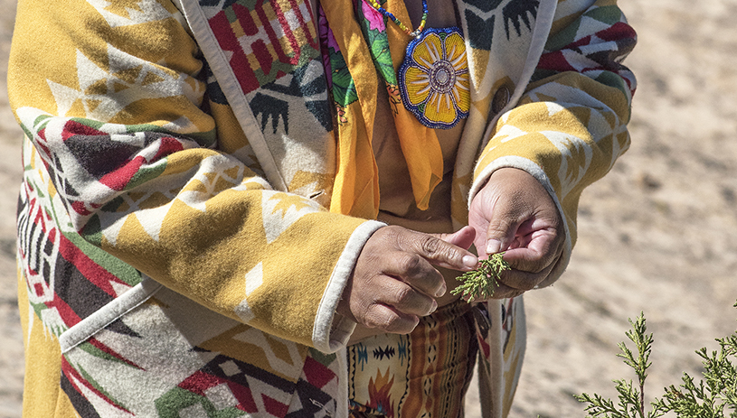 Regina Lopez-Whiteskunk describes cultural uses of juniper