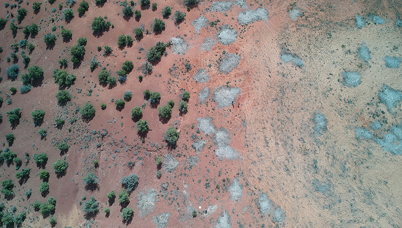 aerial of pinyon juniper removal project