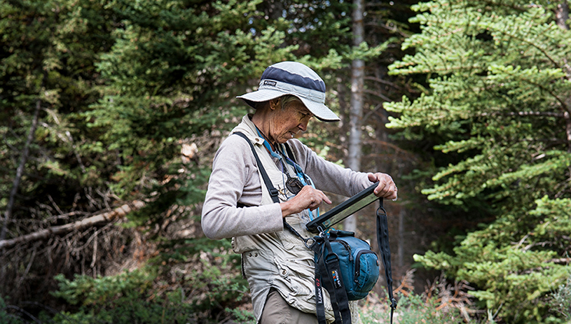 Mary O'Brien at work