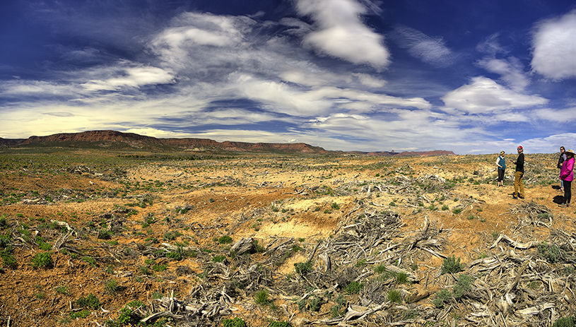 A chained landscape void of pinyon and juniper trees