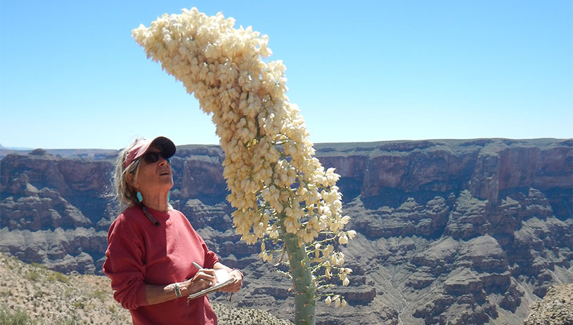 Author Wendy Hodgson