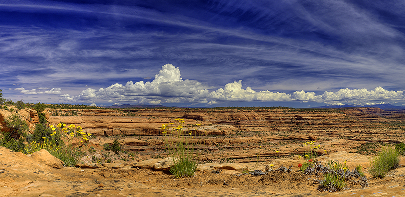 Bears Ears buttes