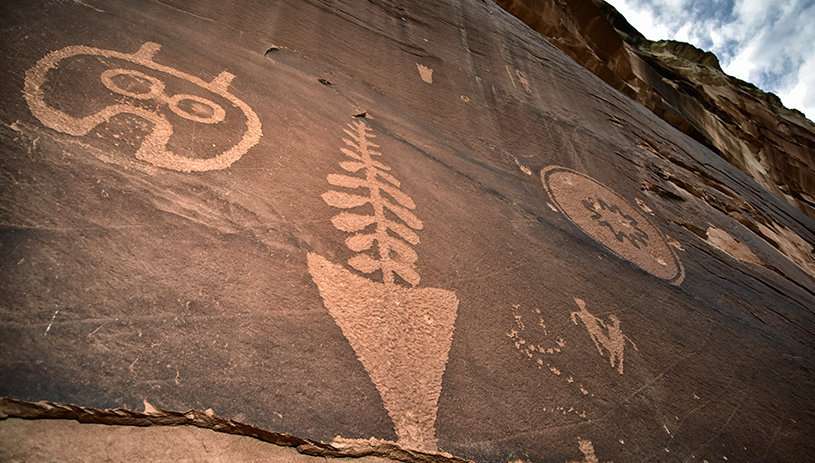 Petroglyph panel at Bears Ears National Monument