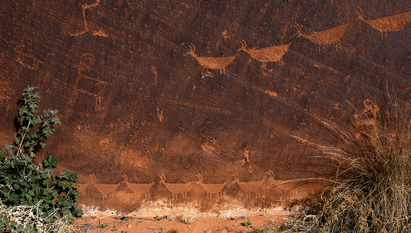 Petroglyphs along the Colorado River below Glen Canyon Dam. Amy S. Martin