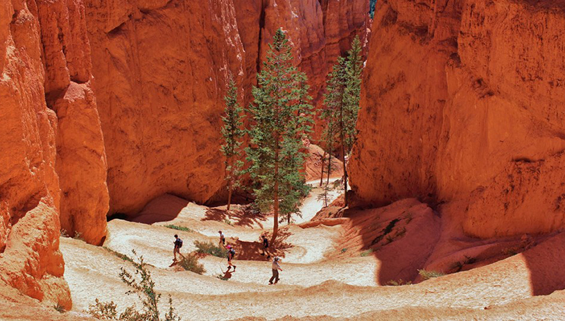 Navajo Loop