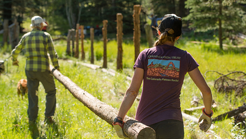 Volunteers build a fence