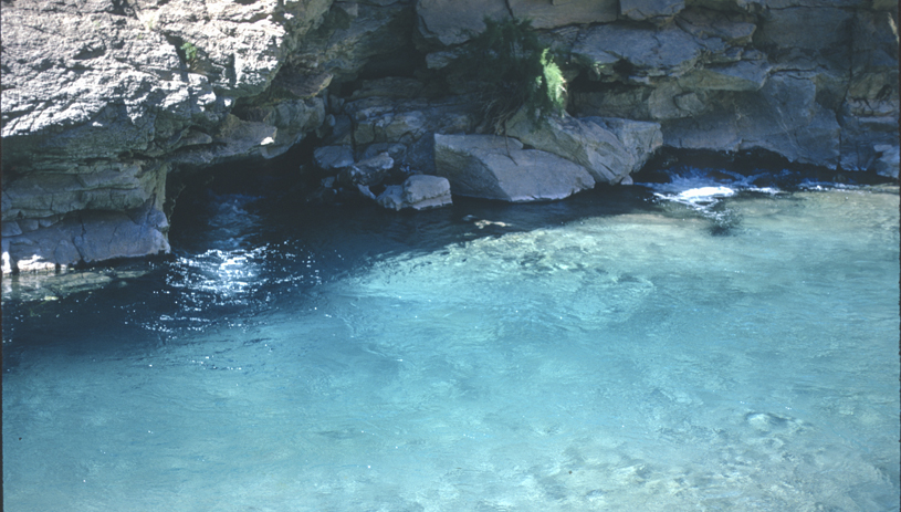 Blue Springs, source of the Little Colorado River's blue color. Photo by Stewart Aitchison.