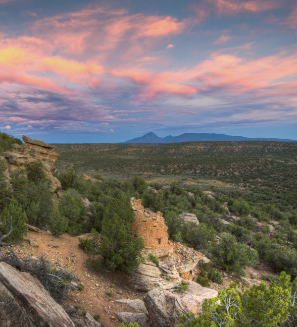 Blog - Trumped (Canyons of the Ancients National Monument)