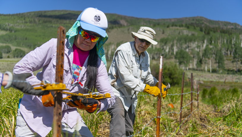 Volunteers maintain an exclosure fence on the FishLake National Forest in Utah. Photo by Blake McCord